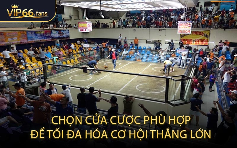 Chọn Cửa Cược Phù Hợp Để Tối Đa Hóa Cơ Hội Thắng Lớn