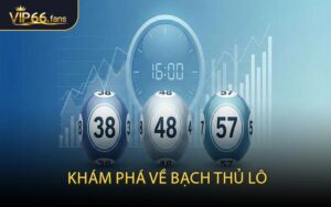 Khám Phá Về Bạch Thủ Lô