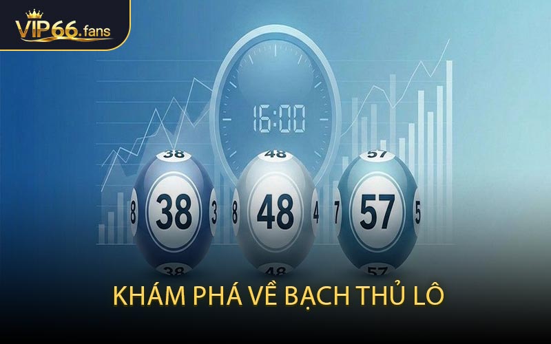Khám Phá Về Bạch Thủ Lô