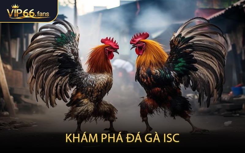 Khám Phá Đá Gà ISC