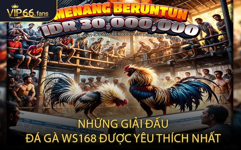 Những Giải Đấu Đá Gà WS168 Được Yêu Thích Nhất