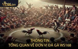 Thông Tin Tổng Quan Về Đơn Vị Đá Gà WS168