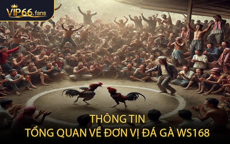 Thông Tin Tổng Quan Về Đơn Vị Đá Gà WS168