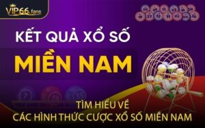 Tìm Hiểu Về Các Hình Thức Cược Xổ Số Miền Nam