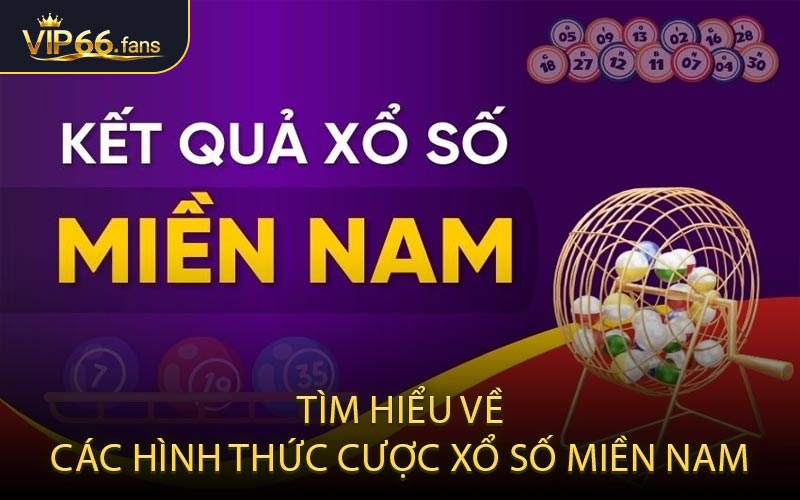 Tìm Hiểu Về Các Hình Thức Cược Xổ Số Miền Nam
